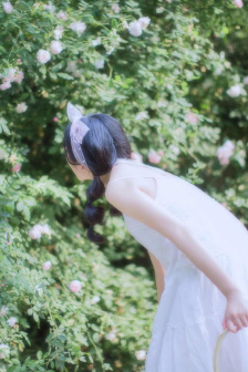 皇上在树上c太子妃(桃森ミヨシ)全本