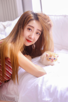 小狗当家